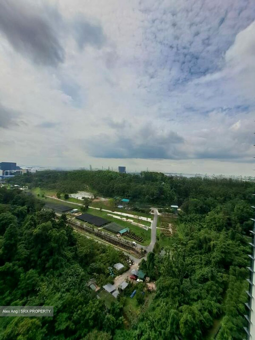 Normanton Park (D5), Apartment #588828321
